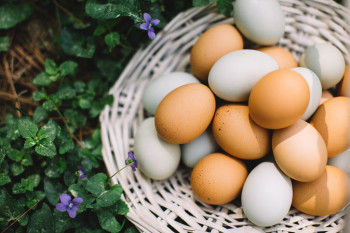 Evită să mănânci ouă dacă ai această problemă de sănătate