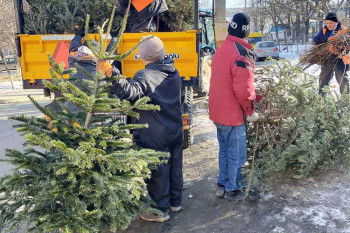 Brazii lăsați la platformele de colectare a deșeurilor vor fi reciclați