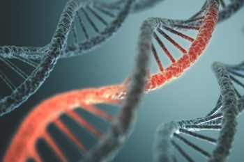 Cancere cu predispoziție genetică – ce trebuie să știi?