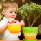 De ce să înveți copiii să cultive plante