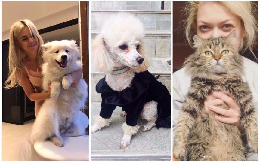 (FOTO) Iată ce animale de companie au vedetele autohtone