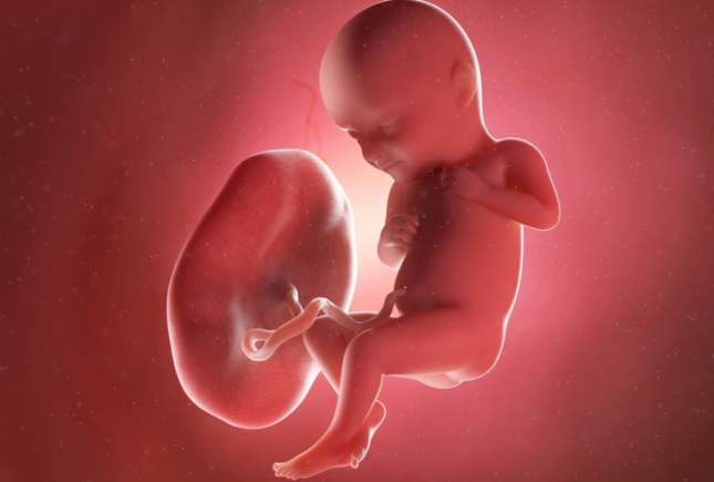 Placenta posterioară: iată tot ce trebuie să cunoști despre ea