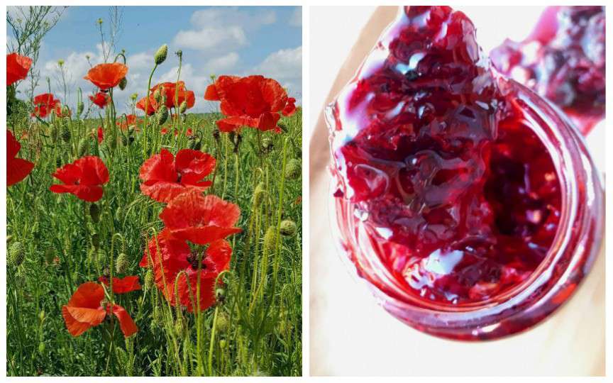 O rețetă foarte originală: Dulceață din flori de mac sălbatic