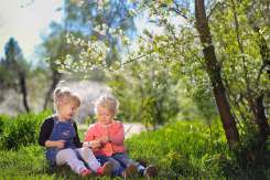 Activități de weekend 11-12 martie 2017