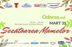 7 motive ca să participi la Șezătoarea Mamelor