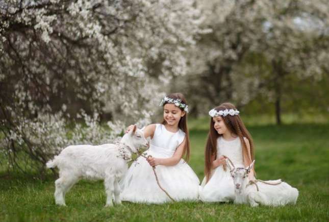 Activități de weekend, 8-9 aprilie 2017