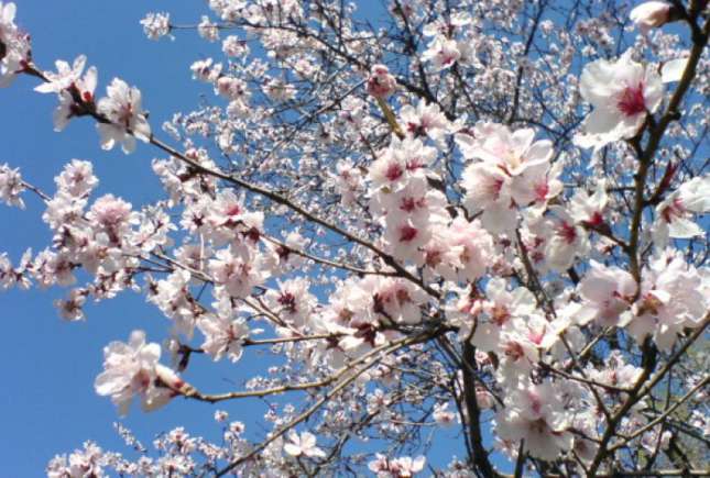 Activități de weekend, 14-15 aprilie 2018
