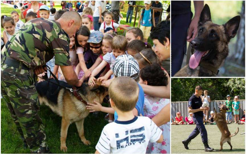 Câinii antrenați ai Poliției de Frontieră într-un show spectaculos! Află unde și când va avea loc