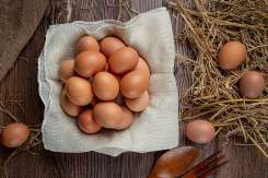 Ouăle de crescătorie: Beneficii reale sau doar marketing scump? Adevărul despre ouăle free-range și convenționale