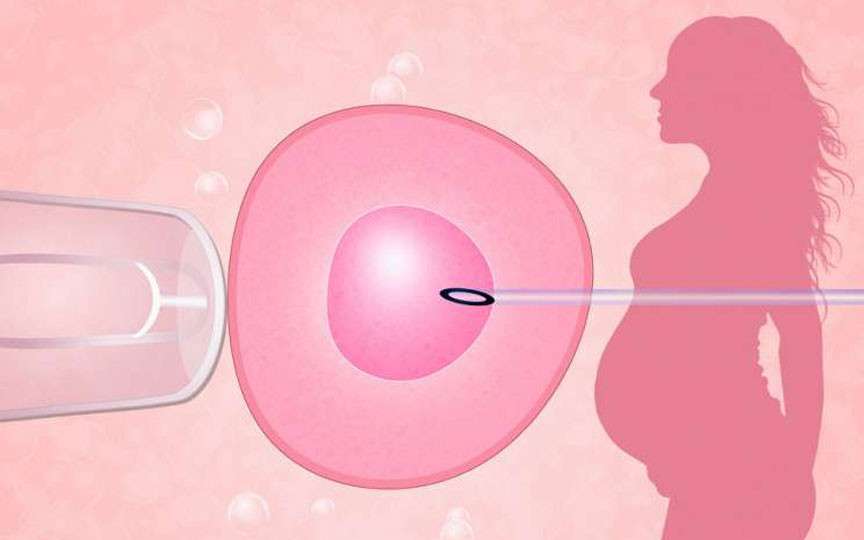 Când fertilizarea in vitro poate eșua: explicațiile specialiștilor