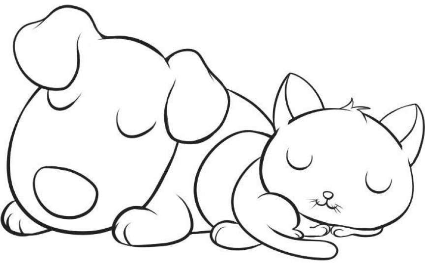 Animale domestice