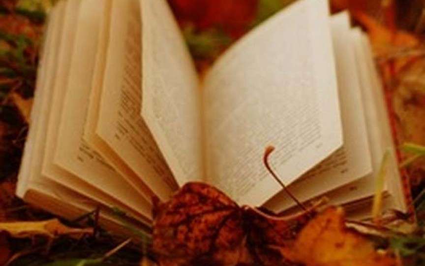 Interesantă și actuală pentru copii:  Povestea toamnei
