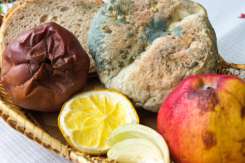Alimente cu mucegai: care sunt sigure, care trebuie aruncate
