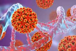 Suplimentul alimentar care ar putea lupta cu cancerul. Unii îl iau ca să prevină tumorile maligne