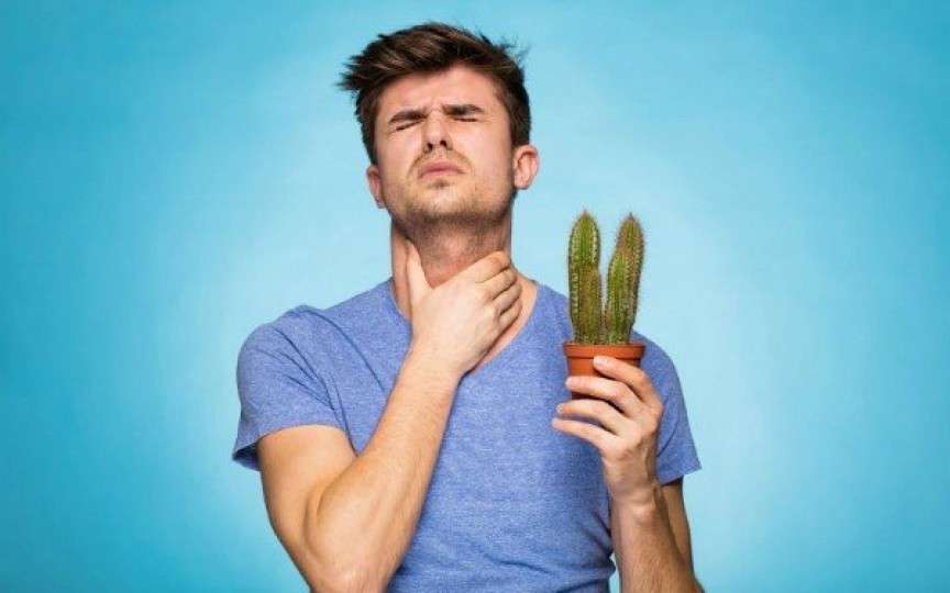 Câteva remedii simple și naturale împotriva durerilor de gât