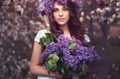 Proprietăţi miraculoase ale florilor de liliac. Puţini ştiu asta!
