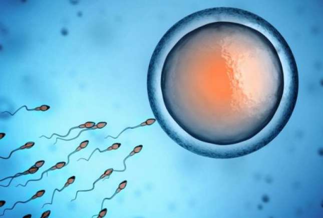 Care este perioada cea mai fertilă la o femeie și când ar trebui să ceară ajutor?