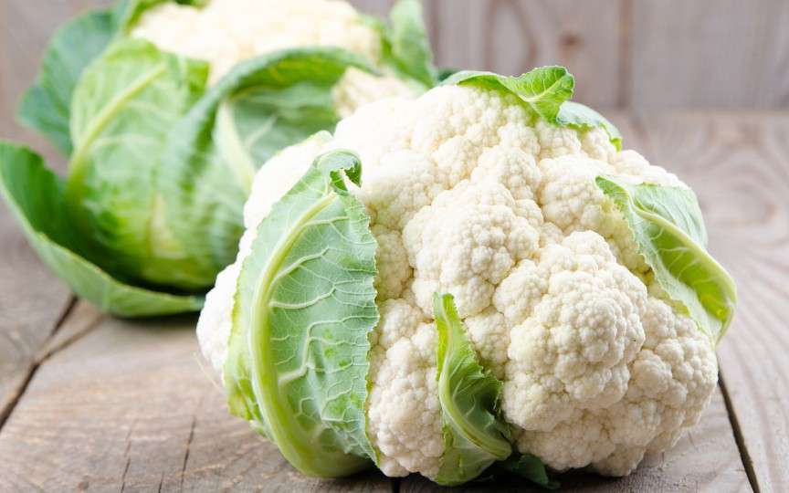 Conopida – un puternic antioxidant cu numeroase beneficii