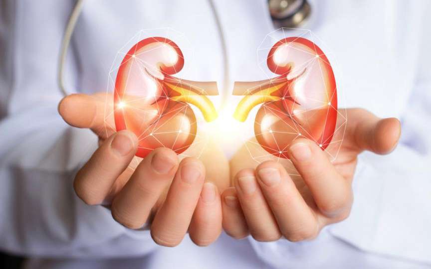 Iată ce trebuie să consumi ca să ai rinichii sănătoși!