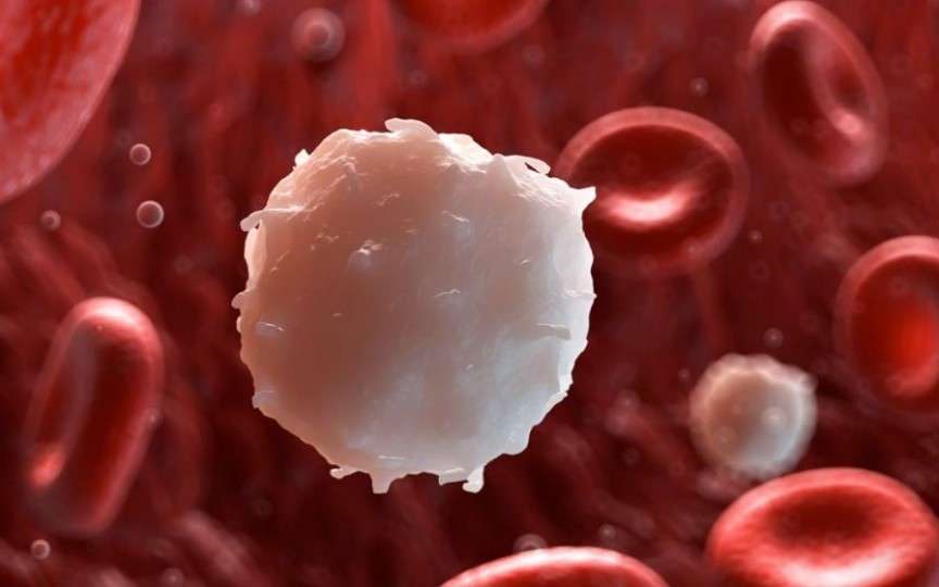 Medic hematolog: Febra, sângerările din nas, ameţeala - pot fi semne ale leucemiei