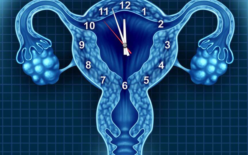 Medic obstetrician-ginecolog despre „ceasul biologic”: O femeie mai are doar 12% din rezerva ovariană la 30 de ani și doar 3% la 40 de ani