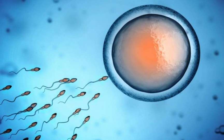Care este perioada cea mai fertilă la o femeie și când ar trebui să ceară ajutor?