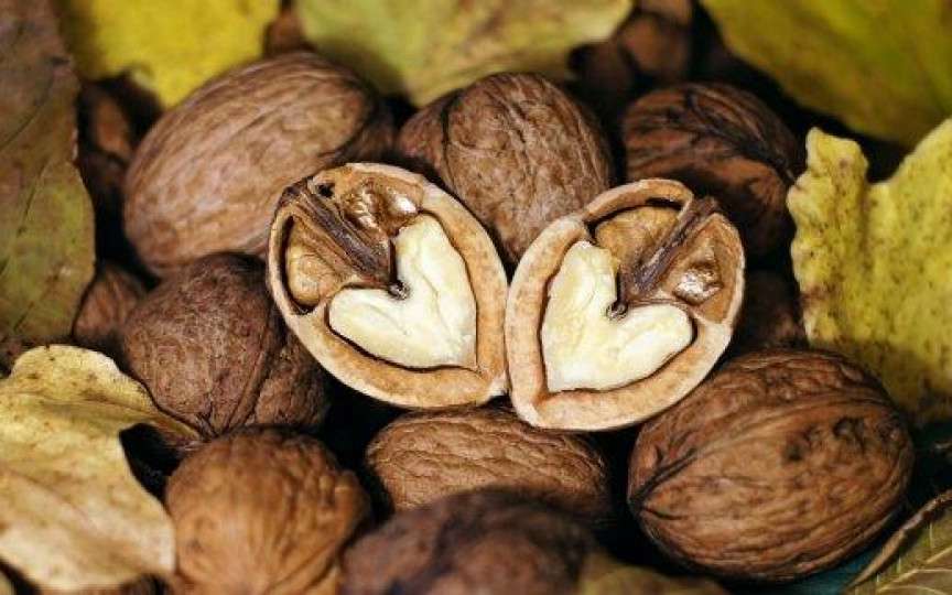 De ce sunt considerate nucile hrana perfectă pentru creier