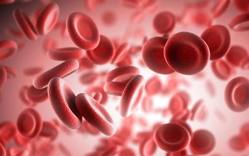 Anemie la femei: cauze, simptome, diagnostic și tratament eficient