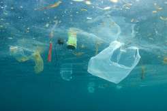 O mamă care încearcă să reducă consumul de plastic, vine cu unele concluzii la 4 luni de „viață nouă”