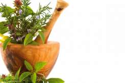 TOP 10 plante medicinale cu efect de antibiotic