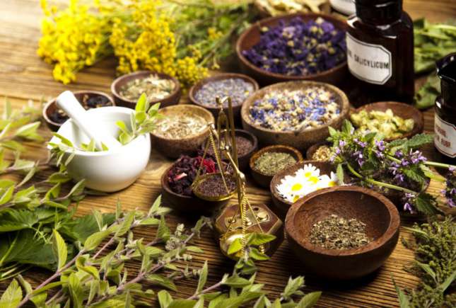 Top 5 plante care te ajută să scapi de dureri