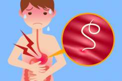 Medic gastroenterolog despre paraziții la copii: Viermii adulți, care se reproduc, pot depăși 30 cm lungime