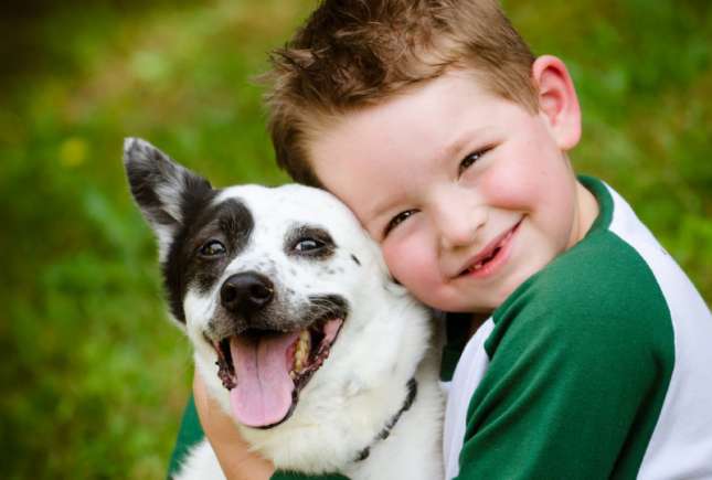 Animalul de companie, medicamentul perfect pentru copiii hiperactivi