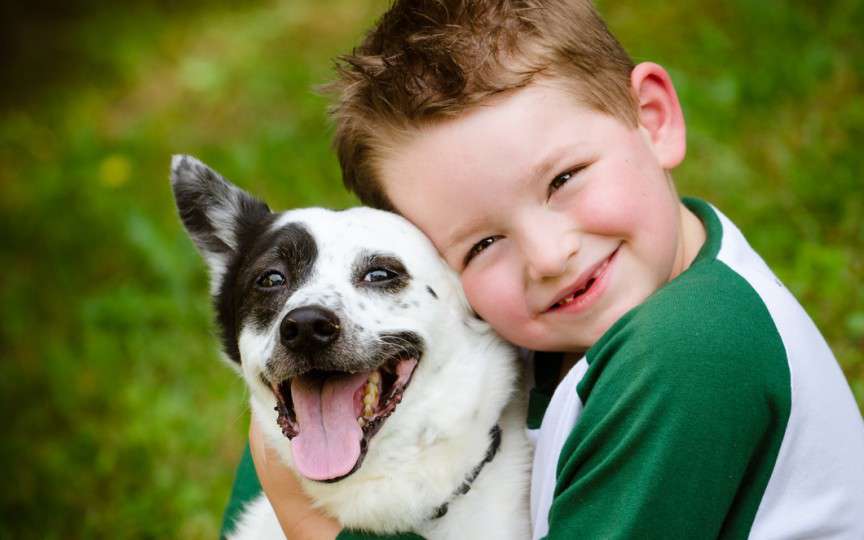 Animalul de companie, medicamentul perfect pentru copiii hiperactivi