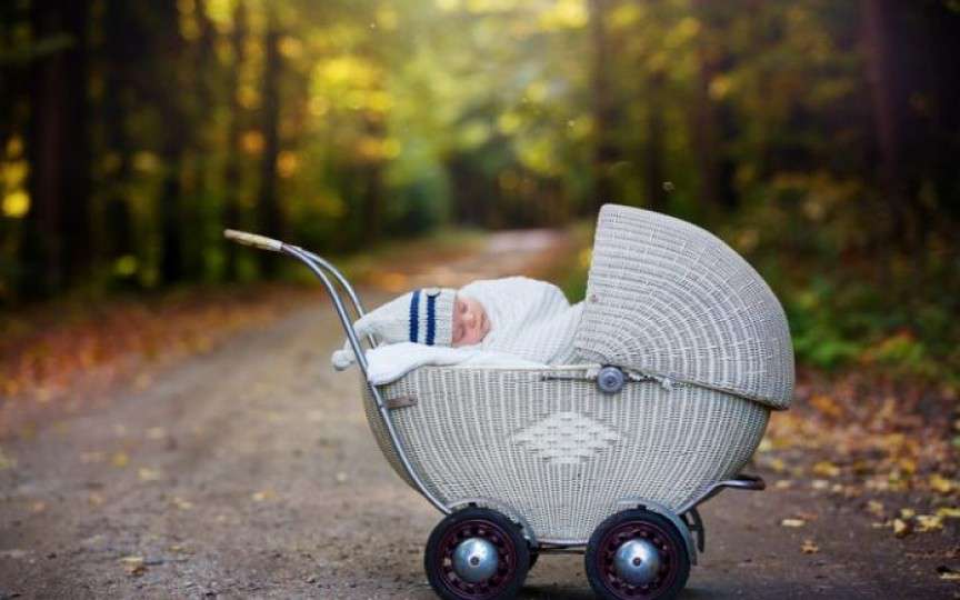 Metoda din natură, la care posibil că nu v-ați gândit, pentru îmbunătățirea imunității copiilor