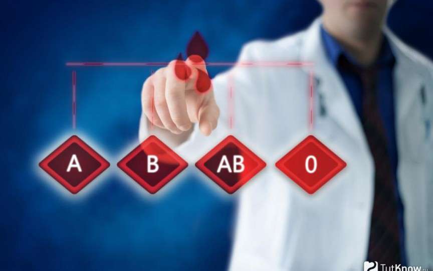 La ce boli ești predispus în funcție de grupa de sânge