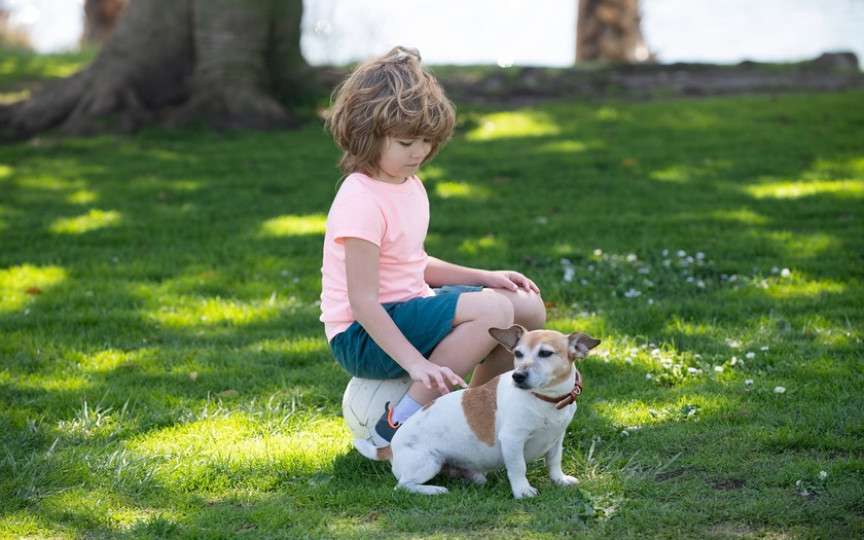Viermii paraziți din parcuri pun în pericol copiii și animalele de companie