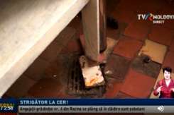 Condiții oribile într-o grădiniță din țară: șobolani prin sălile de curs, iar bucătăresele s-au electrocutat