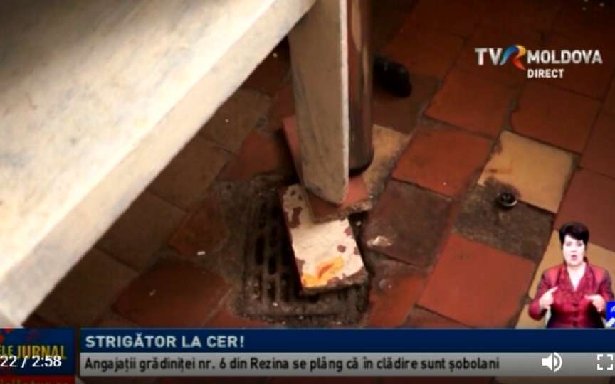 Condiții oribile într-o grădiniță din țară: șobolani prin sălile de curs, iar bucătăresele s-au electrocutat