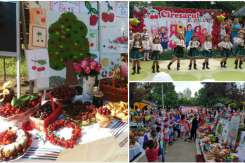 Cireșele au “invadat” una din grădinițele din Chișinău