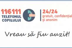 Care sunt cele mai frecvente motive pentru care copiii apelează la Telefonul Copilului