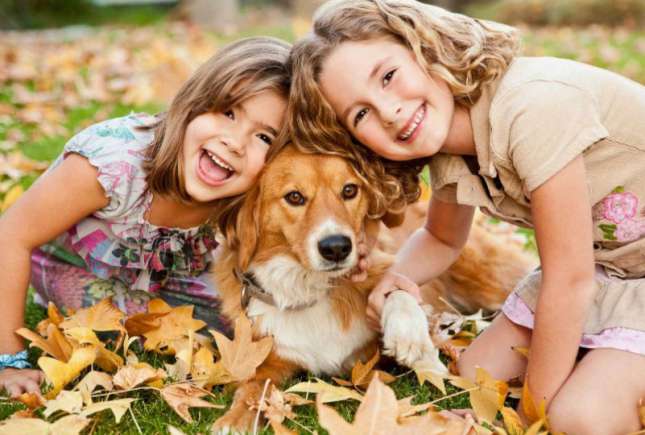 11 fotografii care arată că cei mici ar trebui să aibă un câine