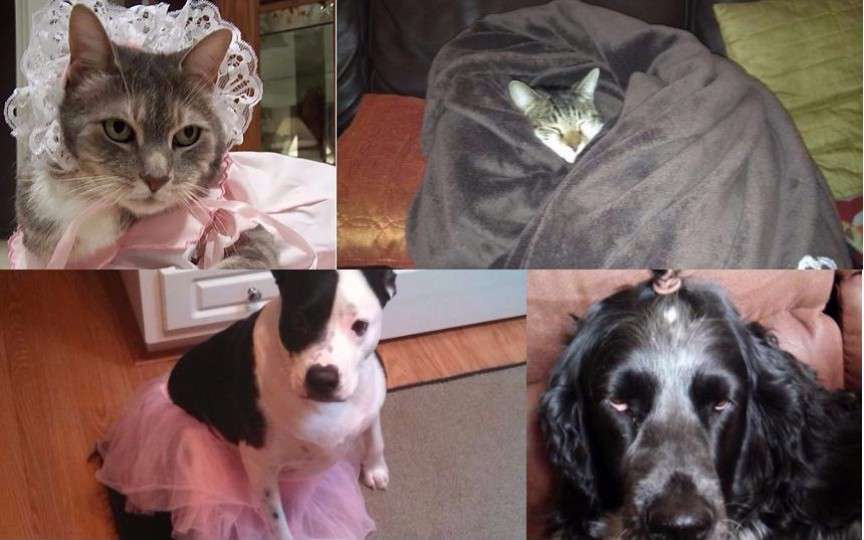 Iată de ce nu ar trebui să vă lăsați copiii singuri cu animalele