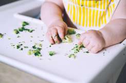 Piureurile și alimentele în formă de bastonașe sau degețele (Finger Food): care este cea mai bună variantă pentru a hrăni bebelușul?