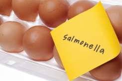 Infecția cu Salmonella, la copii: cauze, simptome și tratament