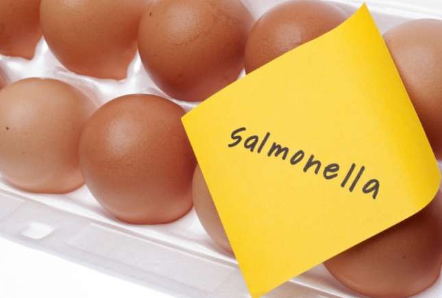Infecția cu Salmonella, la copii: cauze, simptome și tratament