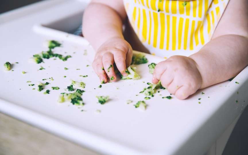 Piureurile și alimentele în formă de bastonașe sau degețele (Finger Food): care este cea mai bună variantă pentru a hrăni bebelușul?