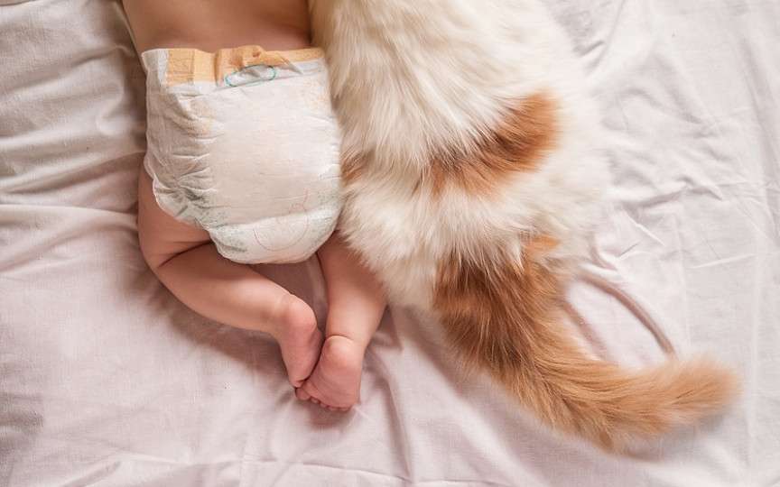 Pisica și bebelușul: 5 avantaje pentru bebelușii care cresc în preajma pisicilor