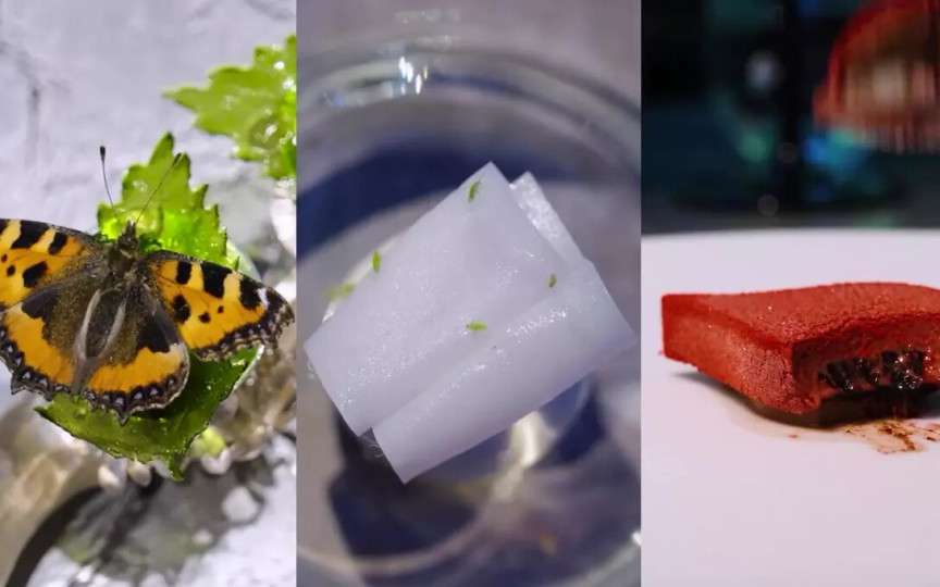 Restaurantul cu cele mai bizare mâncăruri din lume. Fluture liofilizat, insecte vii și desert din sânge de porc