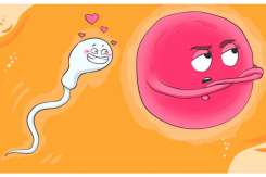 Medic obstetrician-ginecolog despre fereastra fertilă: Iată când ai cele mai mari șanse să rămâi însărcinată